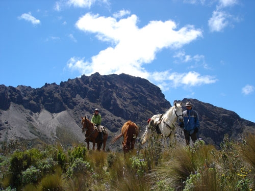 Volcano Panorama Trail