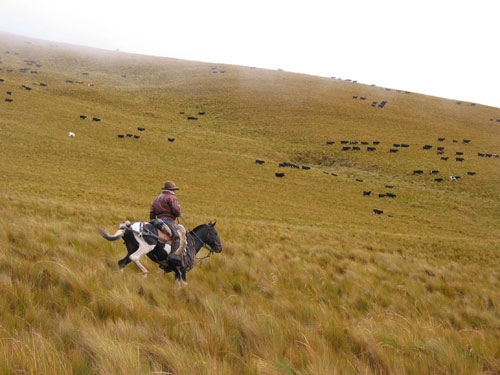 Volcano Panorama Trail