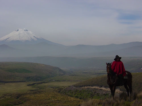 Volcano Panorama Trail