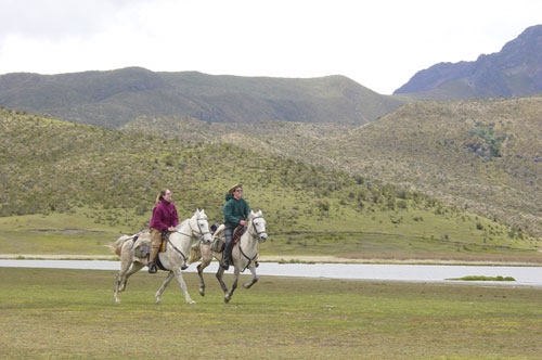Volcano Panorama Trail