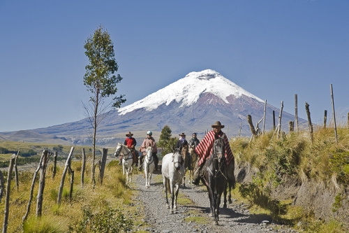 Volcano Panorama Trail