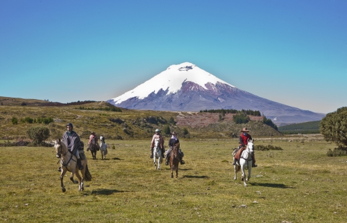 Volcano Panorama Trail