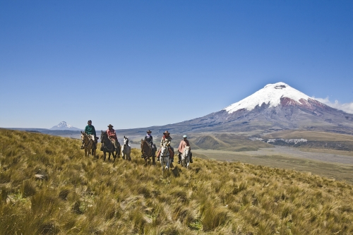 Volcano Panorama Trail