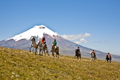 Volcano Panorama Trail