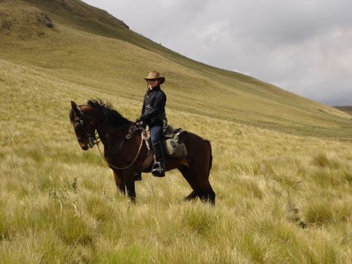 Volcano Panorama Trail