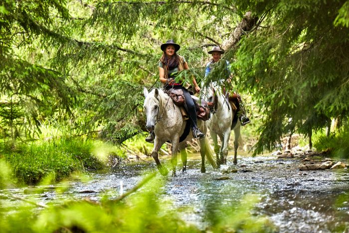 Hasmas National Park Ride