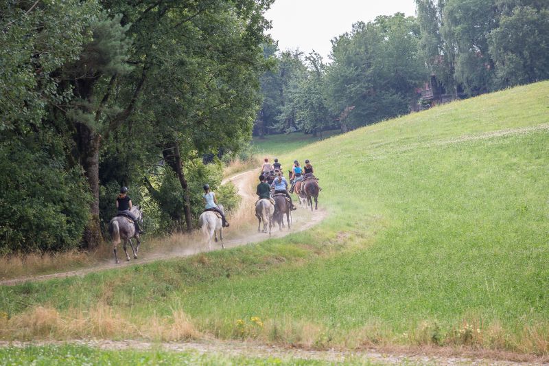 Western riding in the Bavarian Forest