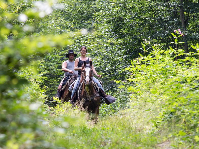 Western riding in the Bavarian Forest