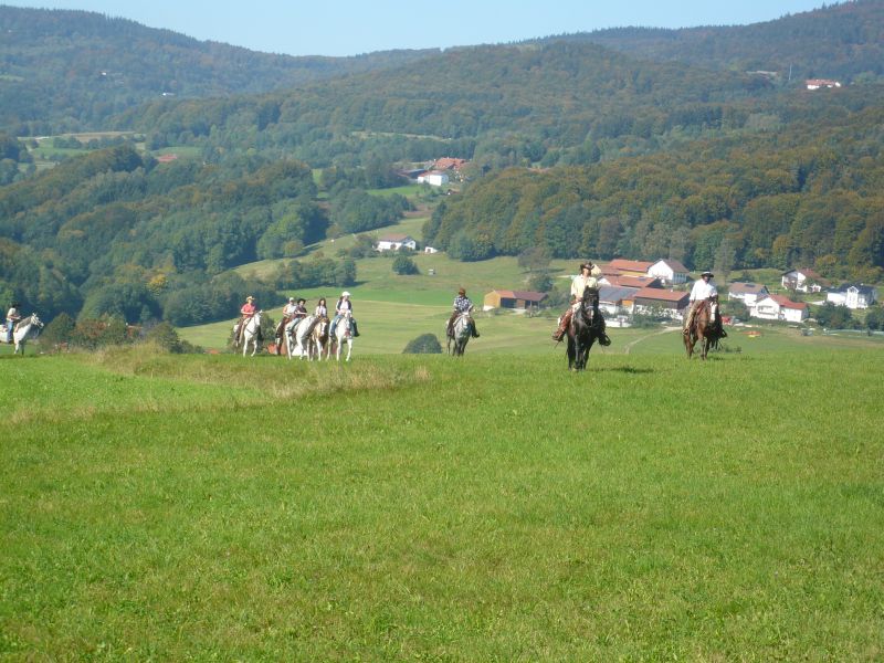 Western riding in the Bavarian Forest