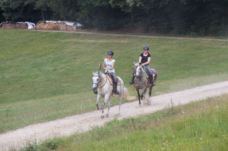 Western riding in the Bavarian Forest