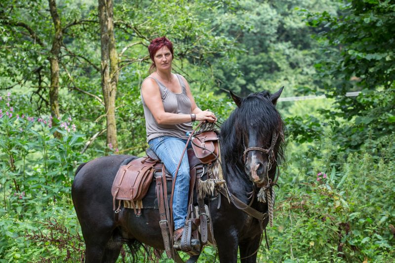 Western riding in the Bavarian Forest