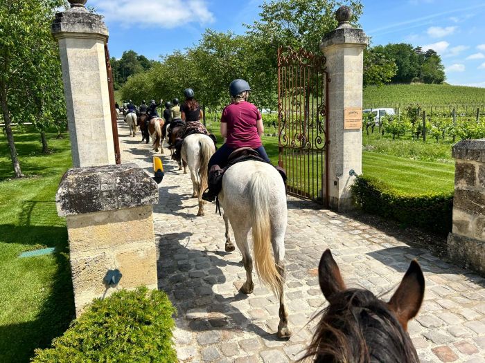 Connoisseur tour Bordeaux wine castles