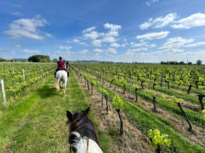 Connoisseur tour Bordeaux wine castles