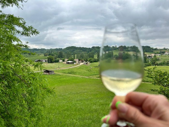 Connoisseur tour Bordeaux wine castles