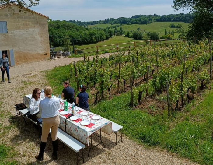 Connoisseur tour Bordeaux wine castles