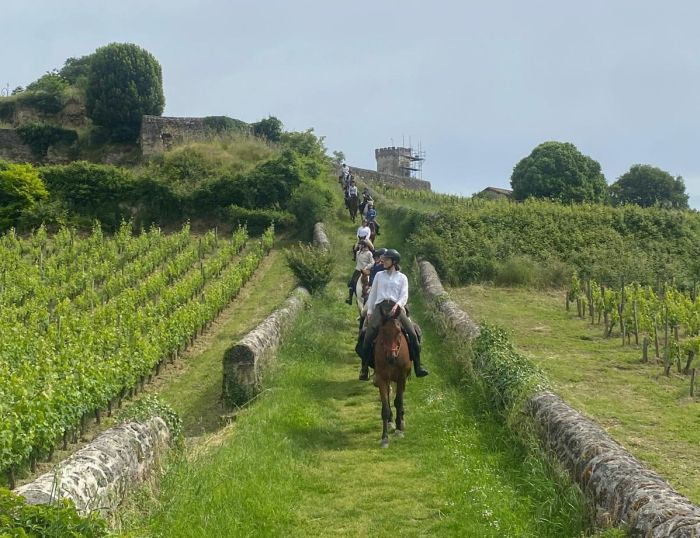 Connoisseur tour Bordeaux wine castles