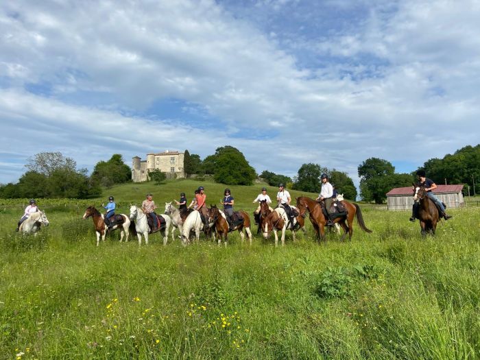 Connoisseur tour Bordeaux wine castles