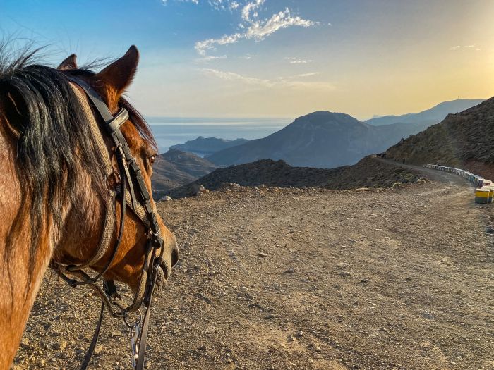 Kreta Sternritte mit Komfort