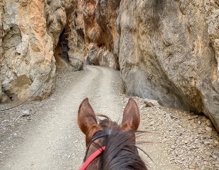 Kreta Sternritte mit Komfort