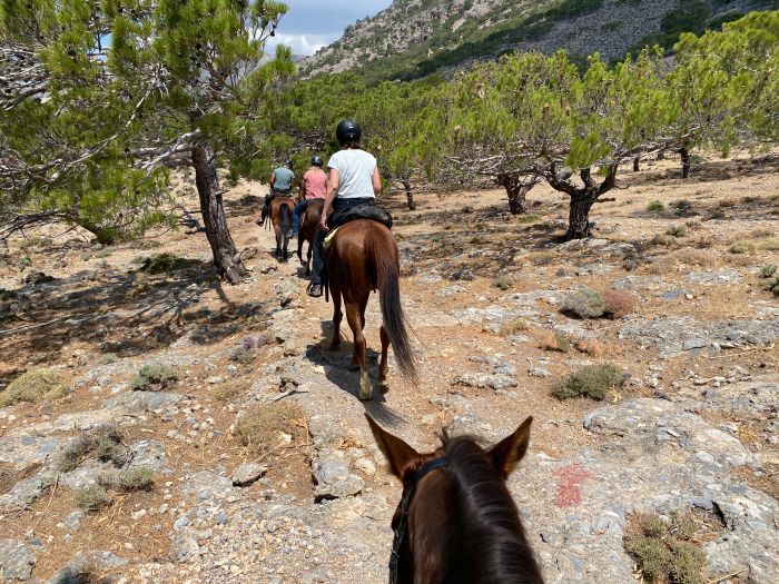 Kreta Sternritte mit Komfort