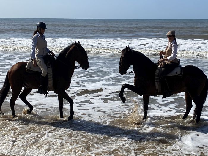 Coto de Doñana Trail