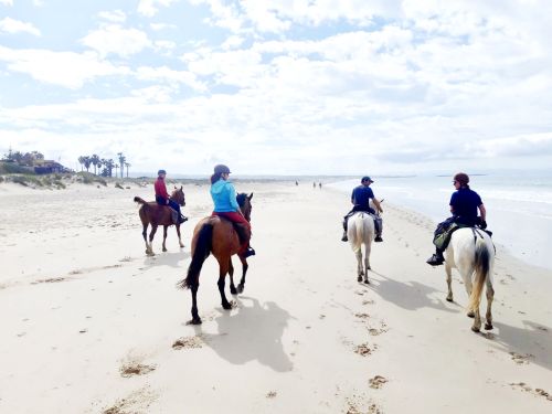 Campo de Gibraltar coastal ride (8 days)