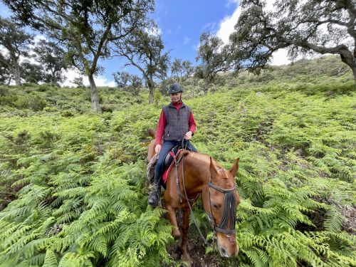 Campo de Gibraltar coastal ride (8 days)