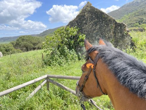 Campo de Gibraltar coastal ride (8 days)