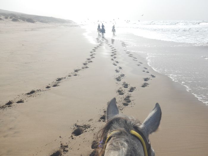 Dreamy Beaches on the Atlantic