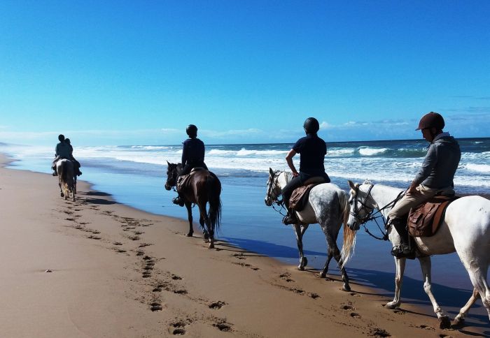 Dreamy Beaches on the Atlantic