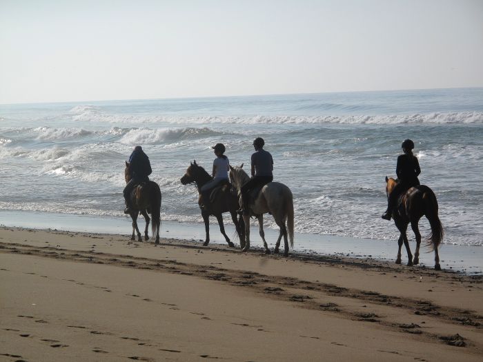 Dreamy Beaches on the Atlantic