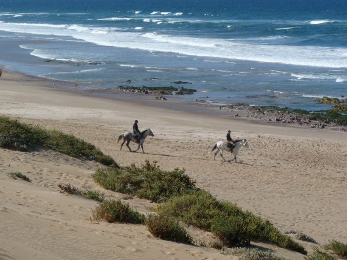 Dreamy Beaches on the Atlantic