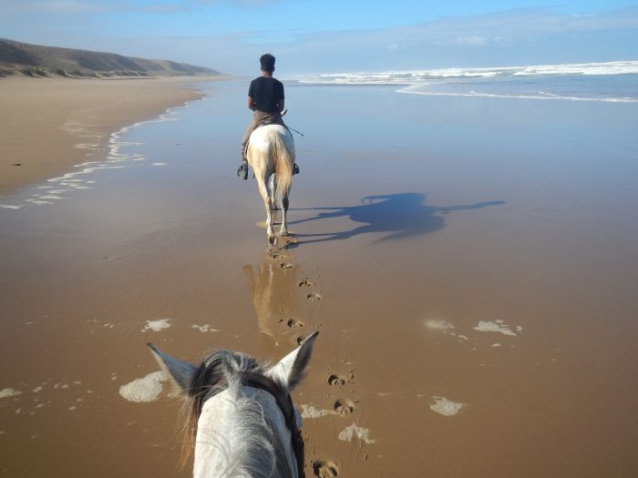 Dreamy Beaches on the Atlantic