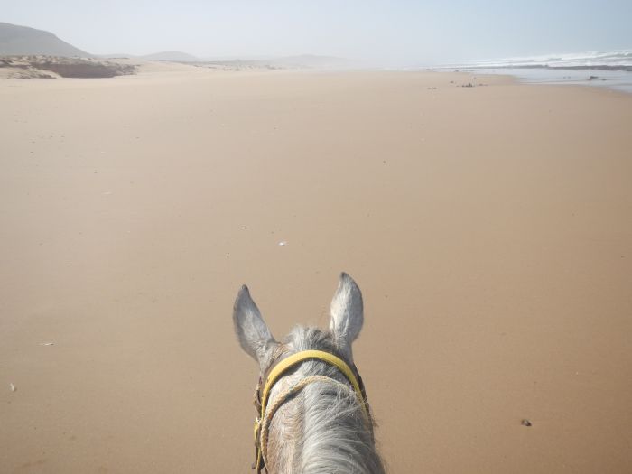 Dreamy Beaches on the Atlantic