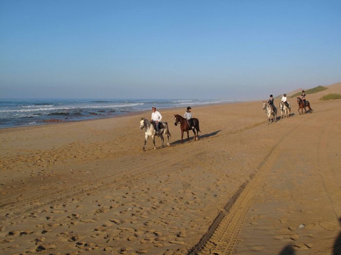 Dreamy Beaches on the Atlantic