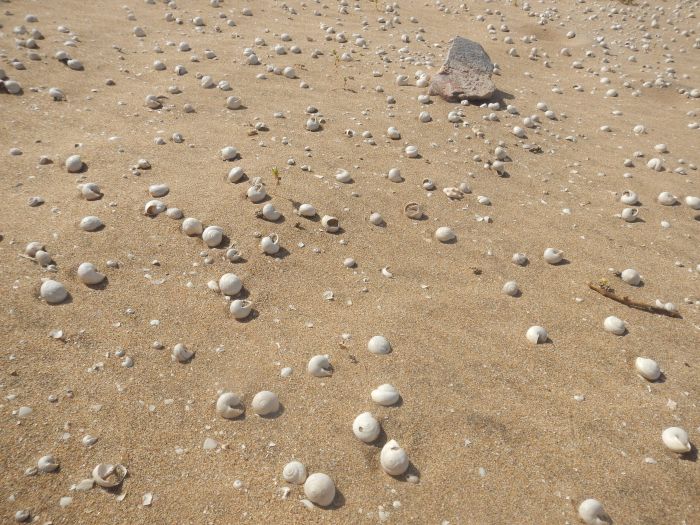 Dreamy Beaches on the Atlantic