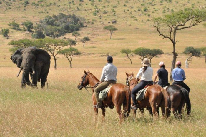 Masai Mara Riding Safari
