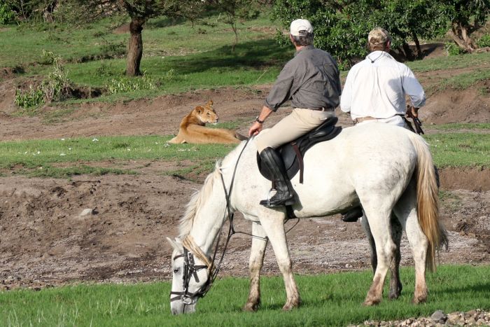 Masai Mara Riding Safari