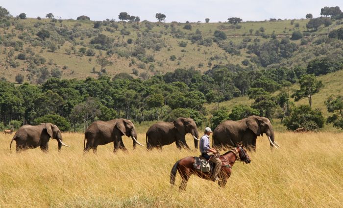 Masai Mara Riding Safari