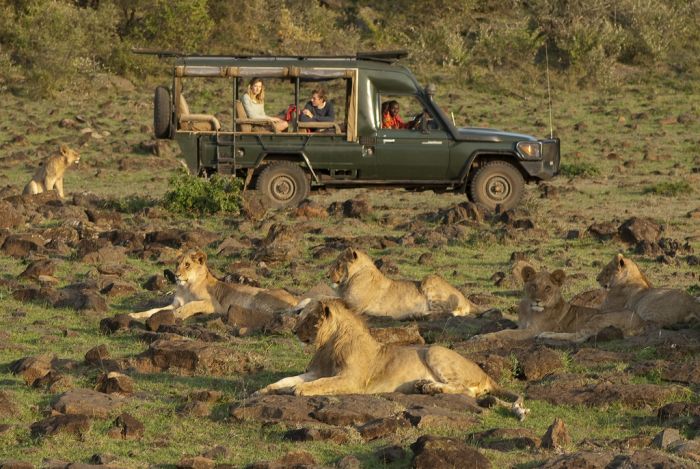 Masai Mara Riding Safari
