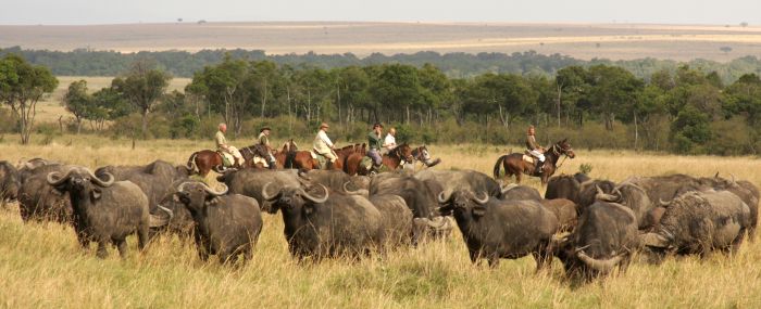 Masai Mara Riding Safari