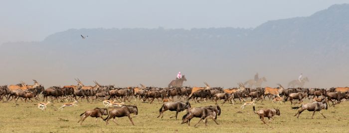 Masai Mara Riding Safari