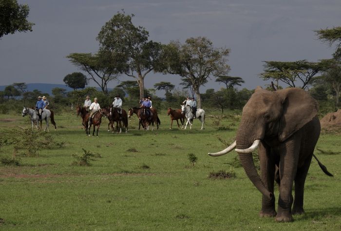 Masai Mara Riding Safari