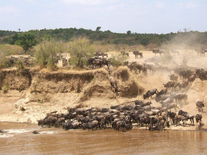 Masai Mara Riding Safari
