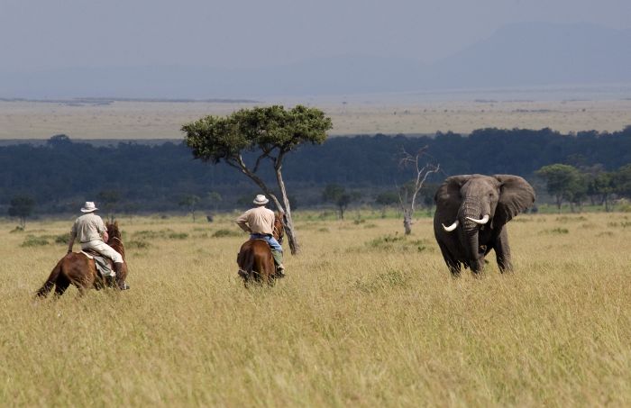 Masai Mara Riding Safari