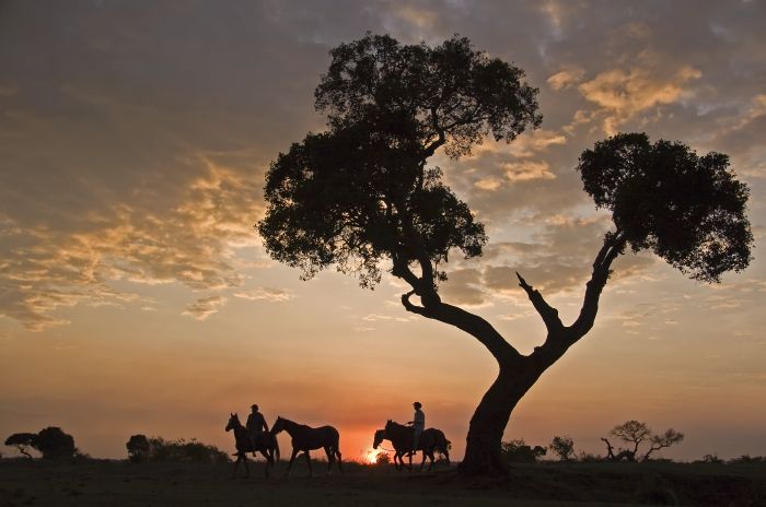 Masai Mara Riding Safari