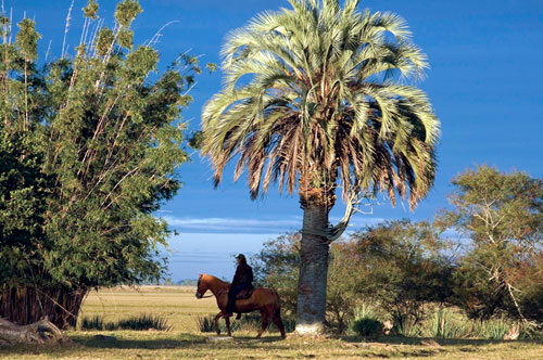Canyons and Waterfalls