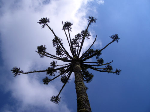Canyons and Waterfalls