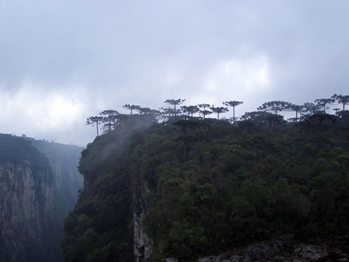 Canyons and Waterfalls