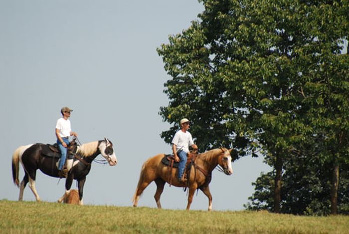 Southern Cross Heartland of Georgia Ranch